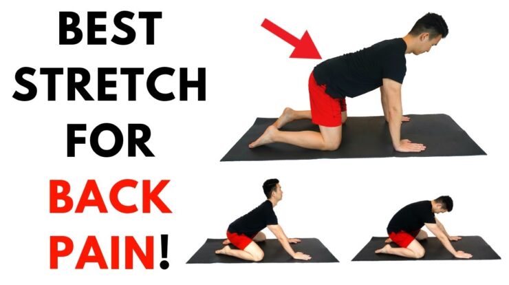 Pain back exercise relieve